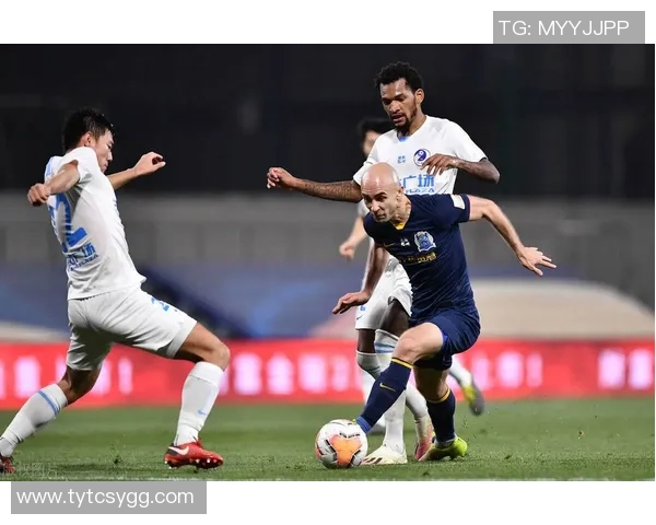 深圳排球队实力引发热议球迷对球队表现的看法与争论